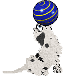 King's Pintsize Dynamite at Perfume — “Neckoil”