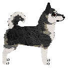 Heirloom's Blaze in the Northern Sky — “Nilsen”