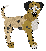 Medusa Rocky Coal Country — “Dragon”