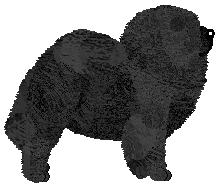 Filigree's Best In Everything — “Alice”