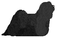 Energizing I Want It All — “Boy”