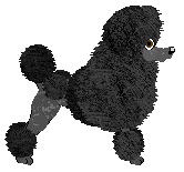 Energizing LITTLE BOOGIE WOOGIE — “Brandy”