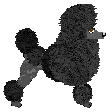 Energizing LITTLE BOOGIE WOOGIE — “Brandy”