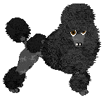 Profile image of Energizing LITTLE BOOGIE WOOGIE