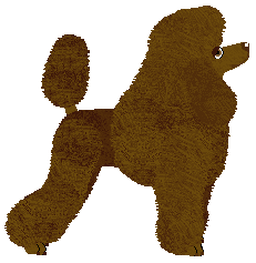 Energizing TEARS AND RAIN — “Esta”