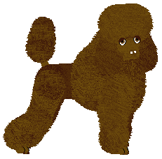 Profile image of Energizing TEARS AND RAIN