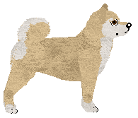 Energizing FEEL THE LOVE — “Feely”