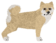 Profile image of Energizing FEEL THE LOVE