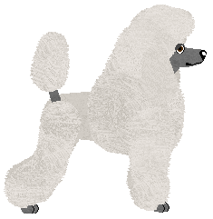 Energizing CZAS KATEDR — “Filip”