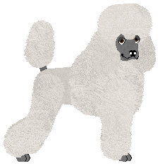 Profile image of Energizing CZAS KATEDR