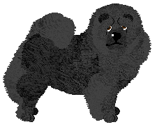 Profile image of Energizing Górniakować