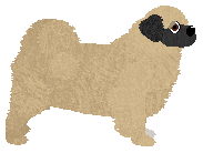 Sitting By Fireplace of Explosiom — “Gwiazda”