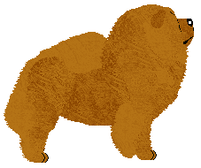 Energizing Orzeźwiająca Pomarańcza — “Gąbka”