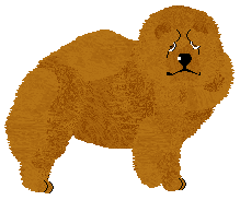 Profile image of Energizing Orzeźwiająca Pomarańcza