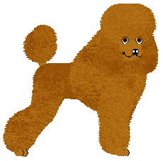 Profile image of Energizing BELLE