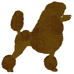 Energizing Romantic Comedy — “Parys”