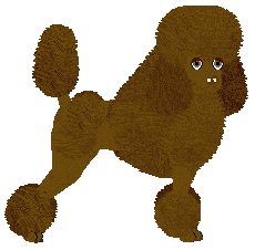 Profile image of Energizing Romantic Comedy