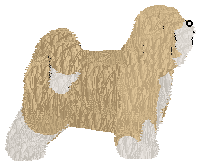 BORN IN DECEMBER of Explosion — “Ruffy”