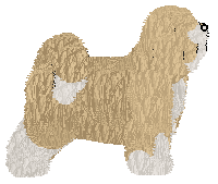 BORN IN DECEMBER of Explosion — “Ruffy”