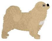 Bear of Explosion — “Tibby”