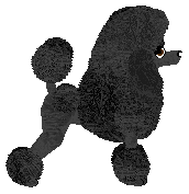 Energizing MIDNIGHT MEMORIES — “Tina”