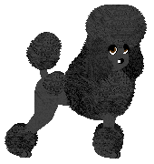 Profile image of Energizing MIDNIGHT MEMORIES