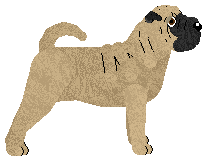 Energizing Defying Gravity — “Zenek”