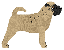 Energizing Defying Gravity — “Zenek”