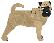 Profile image of Energizing Defying Gravity