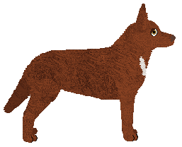 Oakwood's City of Angel — “Polo”