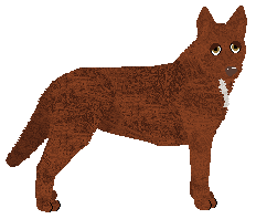 Profile image of Oakwood's City of Angel