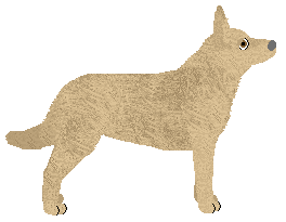 CPK Peanut Butter — “Smok”