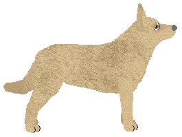 CPK Peanut Butter — “Smok”