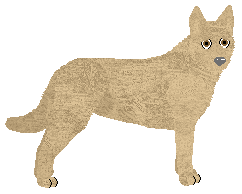 Profile image of CPK Peanut Butter