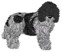 Energizing Brudne Myśli — “Roo”