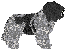 Energizing Brudne Myśli — “Roo”