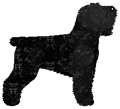 Cyzar Czjernyja Zwezda — “Esfir”