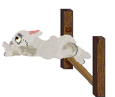 seta's Neverending Daydream at Foxglove — “Peace”