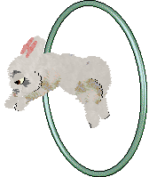 seta's Neverending Daydream at Foxglove — “Peace”