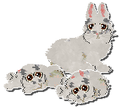 Profile image of seta's Neverending Daydream at Foxglove