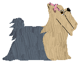 Czeko's YORK? POWAŻNIE? — “Mała”