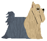 Czeko's YORK? POWAŻNIE? — “Mała”