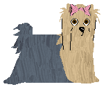 Profile image of Czeko's YORK? POWAŻNIE?