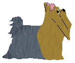 Czeko's IT'S IMPOSSIBLE! — “Yorkie”