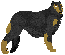 Profile image of Loveshack Glow Vision