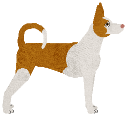 Energizing ONE NIGHT IN IBIZA — “Ibiza”