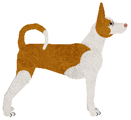 Energizing ONE NIGHT IN IBIZA — “Ibiza”