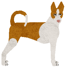 Profile image of Energizing ONE NIGHT IN IBIZA