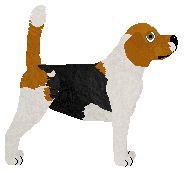 Blizzard Following Your Trace — “Louise”