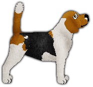 Profile image of Blizzard Following Your Trace